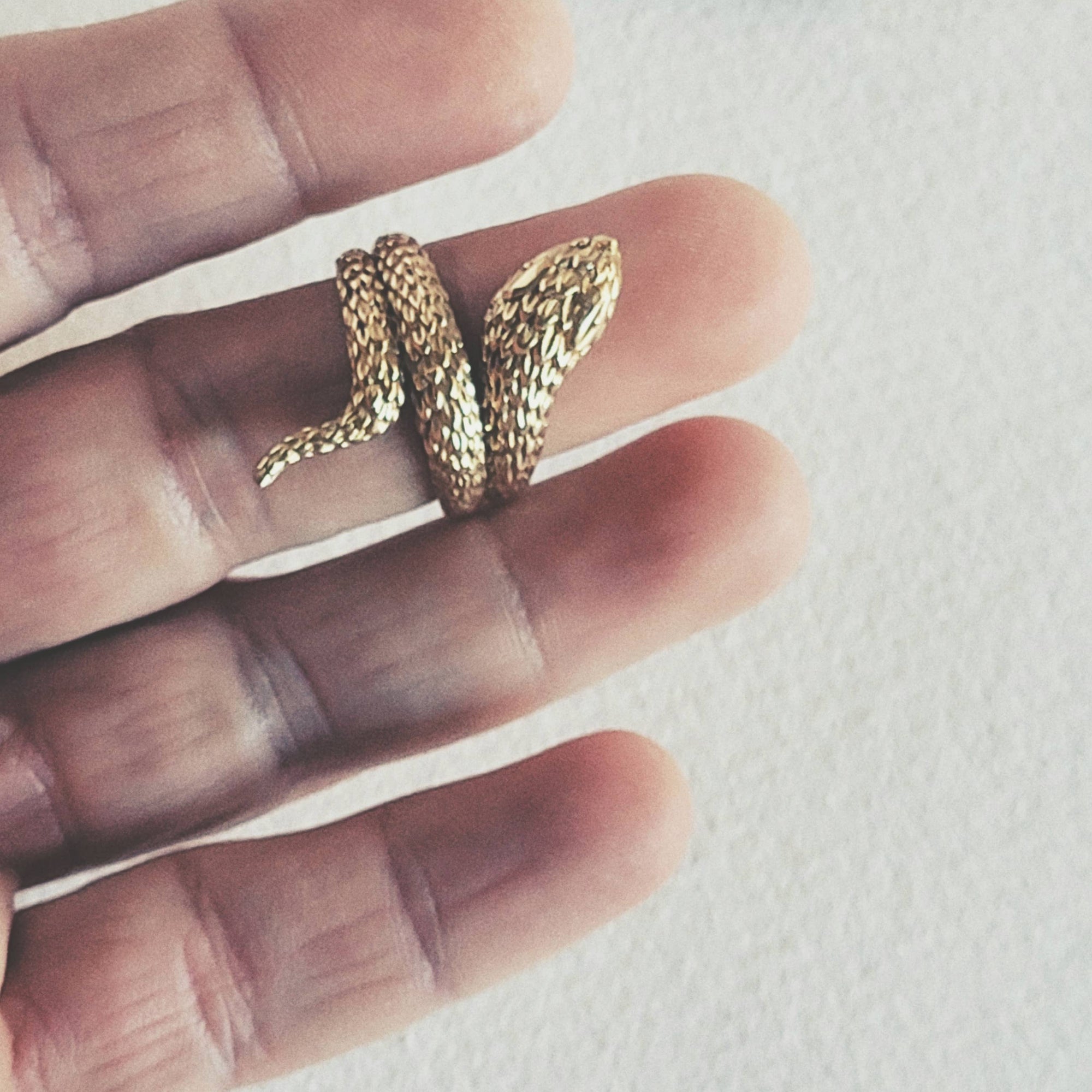 Brass Serpent Ring