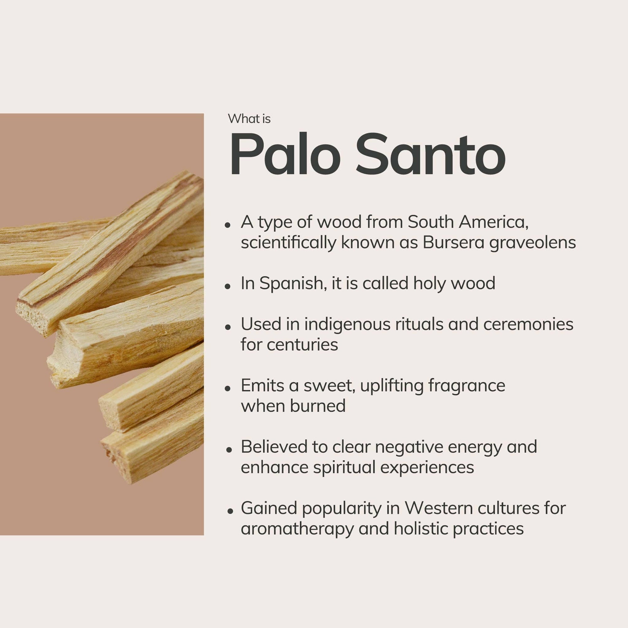 Palo Santo Handmade Incense Cone