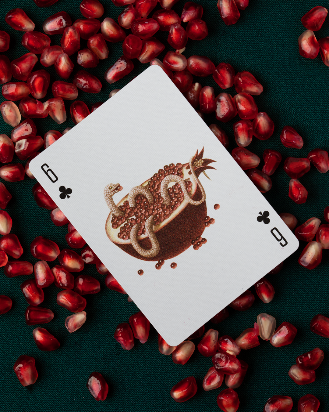 Cabinetarium | Playing Cards