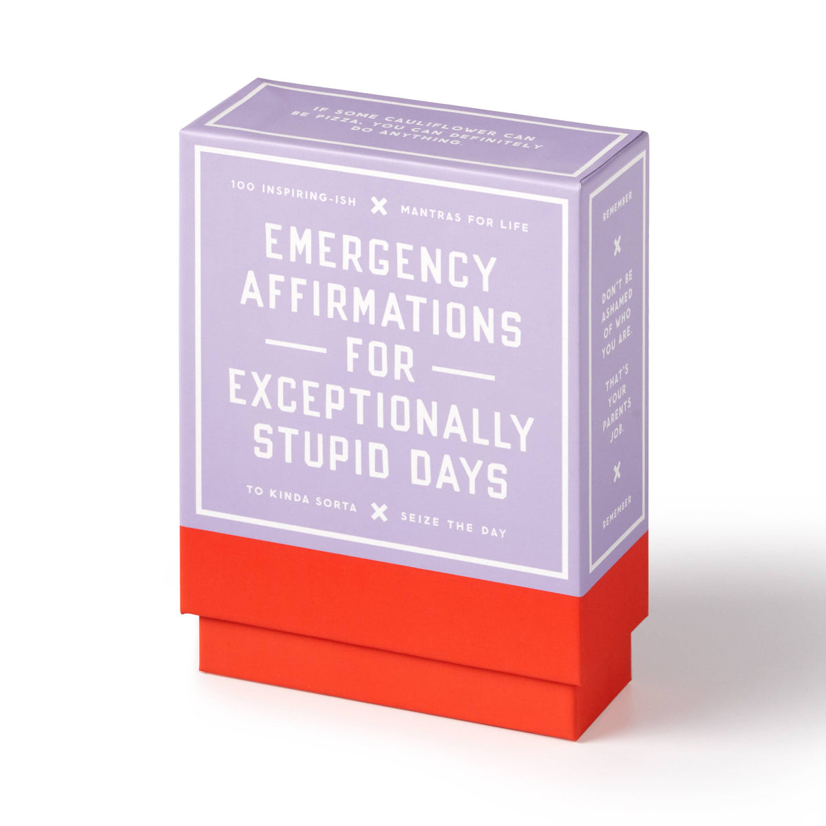 Brass Monkey Emergency Affirmations Exceptionally Stupid Days Card Deck