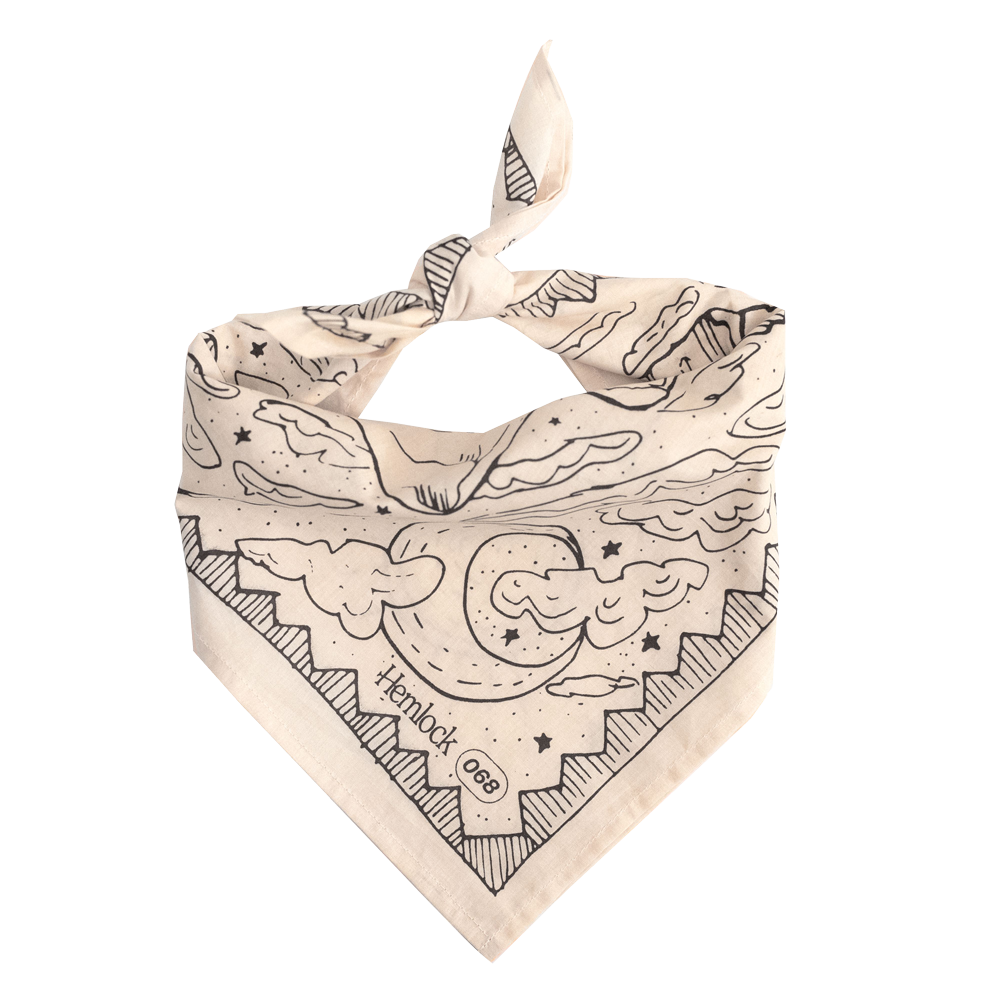 Desert Bandana