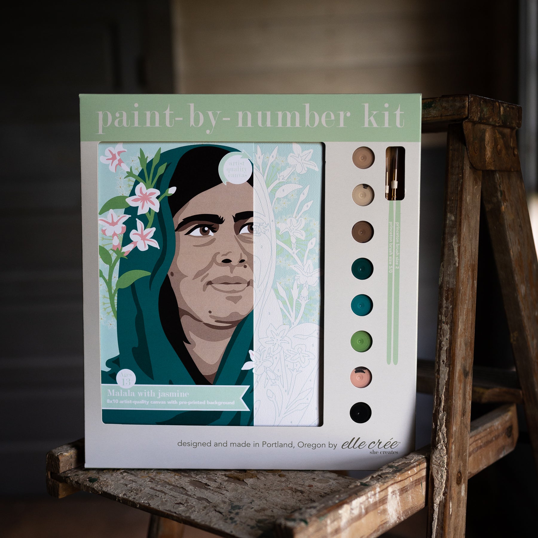 Paint by Number Kit 